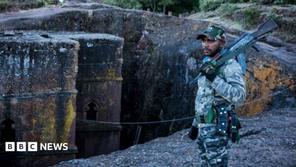 Why are Ethiopia’s rebels joining forces?