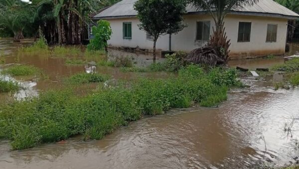 Flood renders over 300 residents homeless in Abia