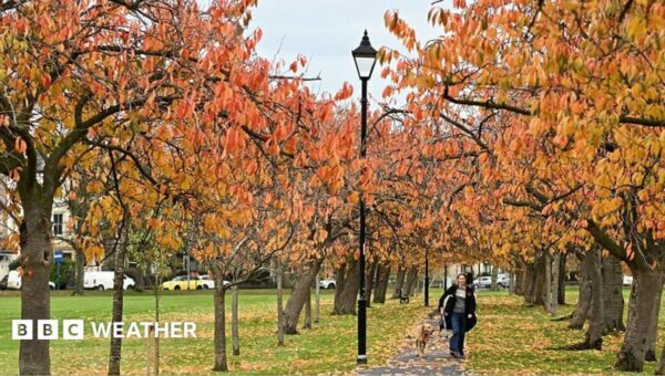 Autumn equinox 2026: When is it and what happens?
