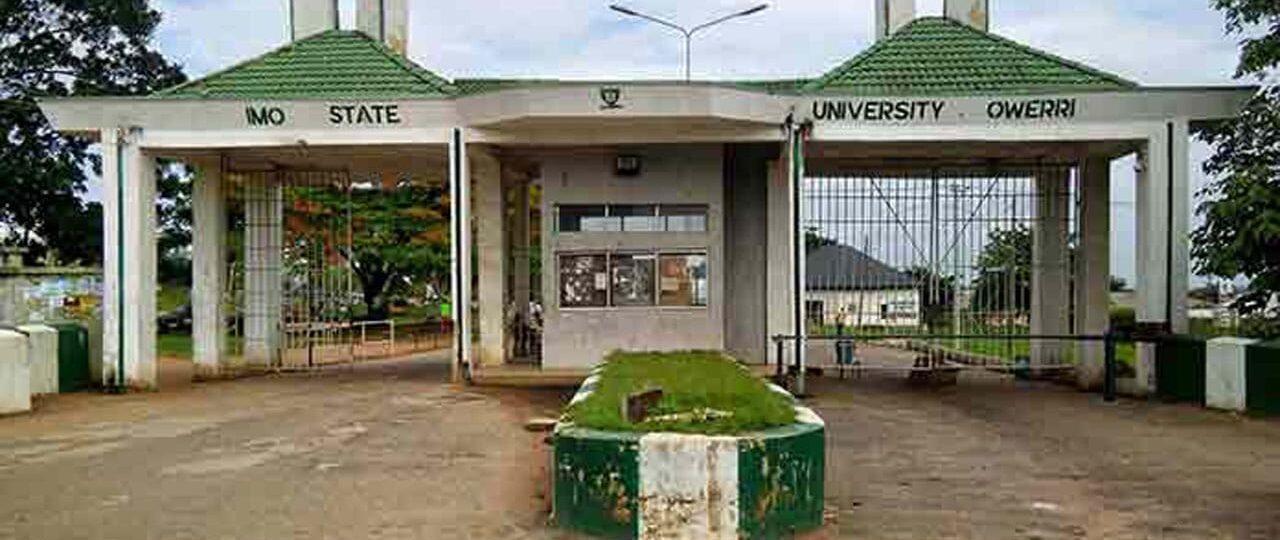 ASUU strike: We’ll not grade students’ exam scripts – IMSU lecturers vow
