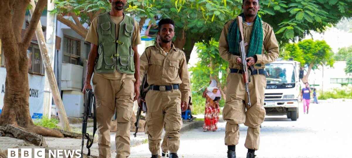 Are Ethiopians marching back to war in Tigray?