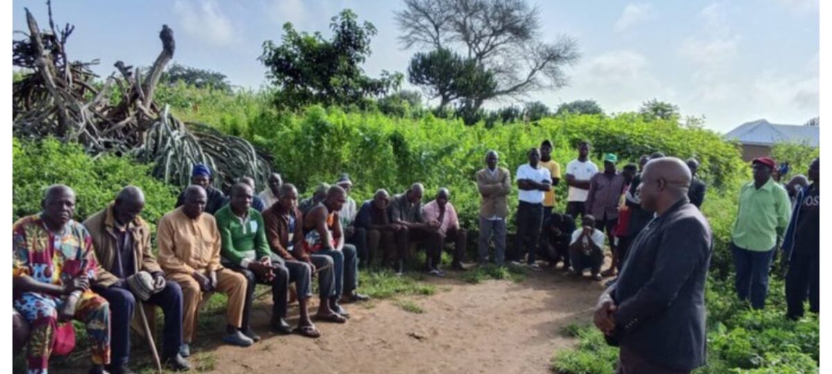 Plateau: CAN demands security beef up after Koggul attack victims’ mass burial