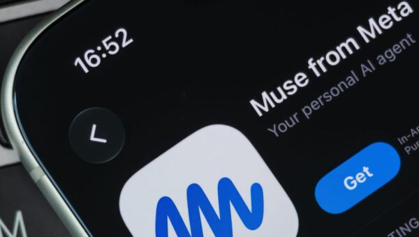 A YouTuber says this Muse setting led to the AI agent sharing his address: ‘Be careful’
