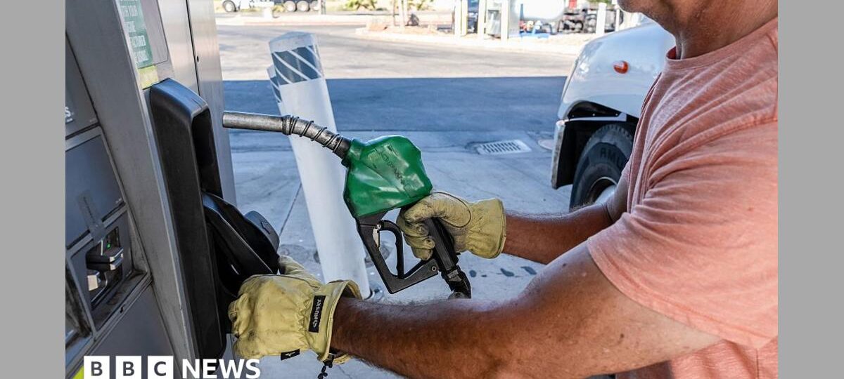 What a US diesel export ban could mean for you