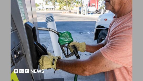 What a US diesel export ban could mean for you