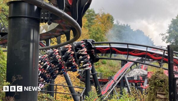 Virtual queue for disabled at Alton Towers praised