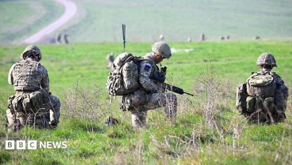 Some veterans to be called up to test UK’s war resilience