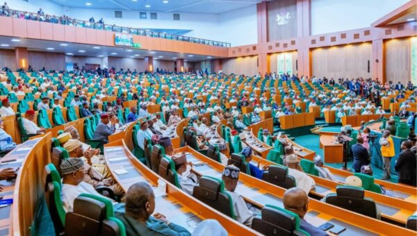 Reps demand immediate rescue of 116 schoolchildren, other Borno abductees