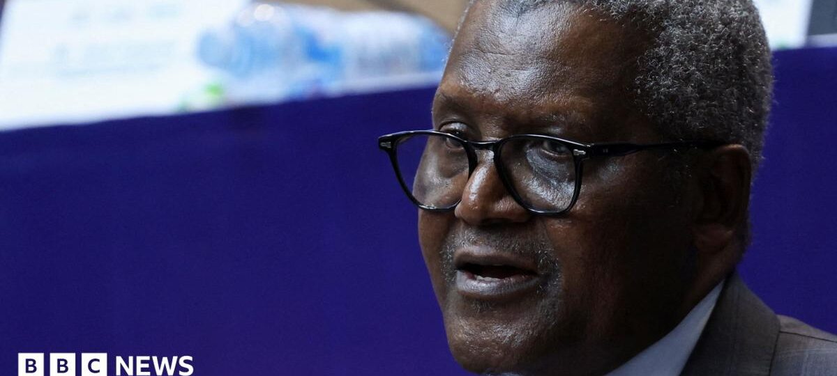 Africa's richest man launches continent's biggest share sale