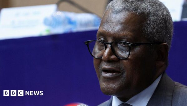 Africa’s richest man launches continent’s biggest share sale