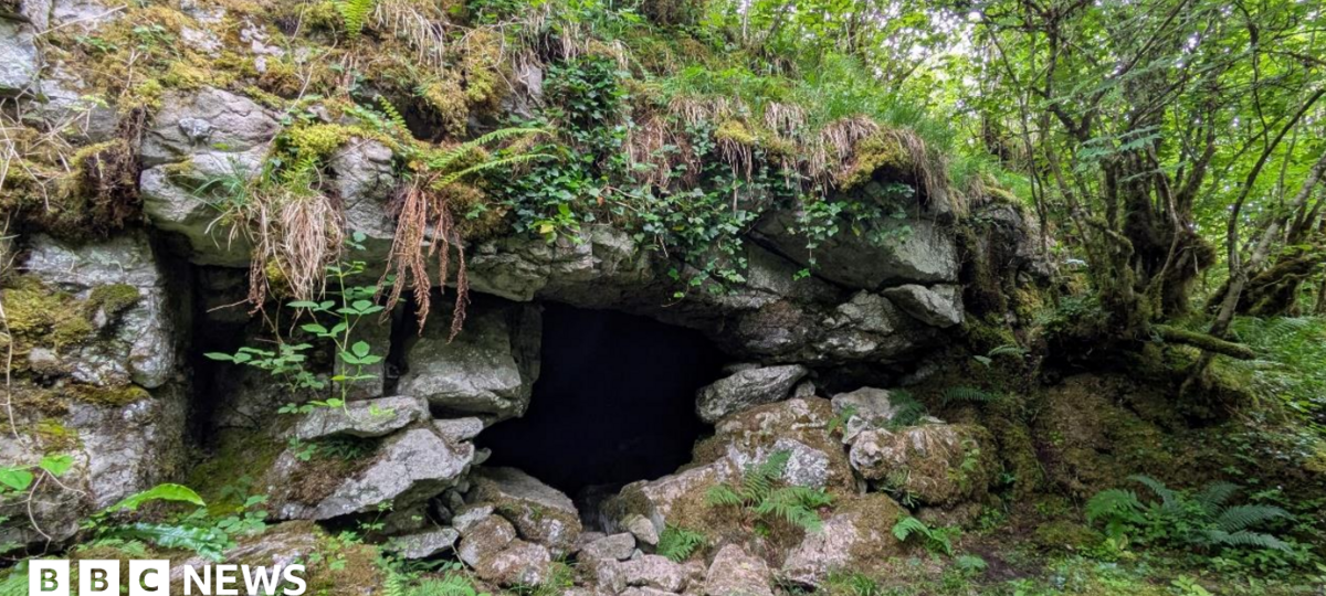 Ancient cave art discovery suggests first known humans in Ireland walked over from Wales