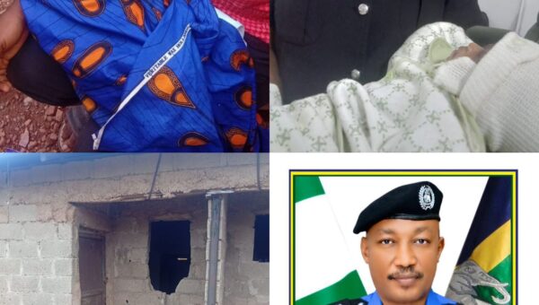 FCT police rescues two abandoned babies in Abuja, moves to identify mothers