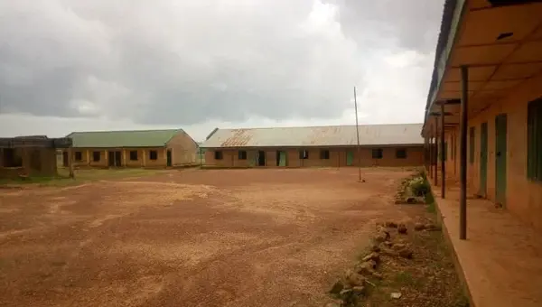 Plateau shuts schools over suspected diphtheria outbreak