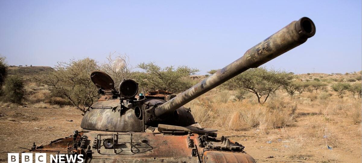 Seven Ethiopian rebel groups form new alliance
