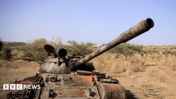 Seven Ethiopian rebel groups form new alliance
