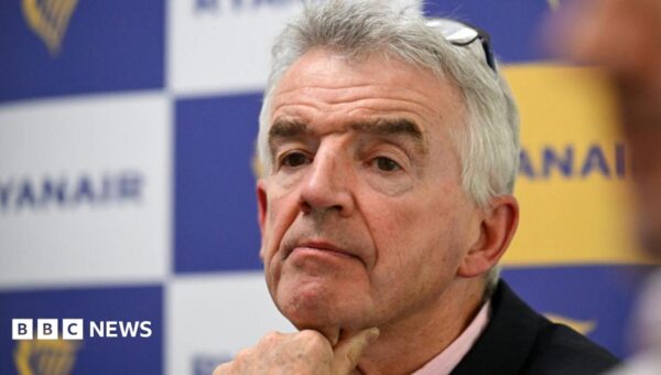 Ryanair boss Michael O'Leary apologises over 'high-fare rapists' remarks