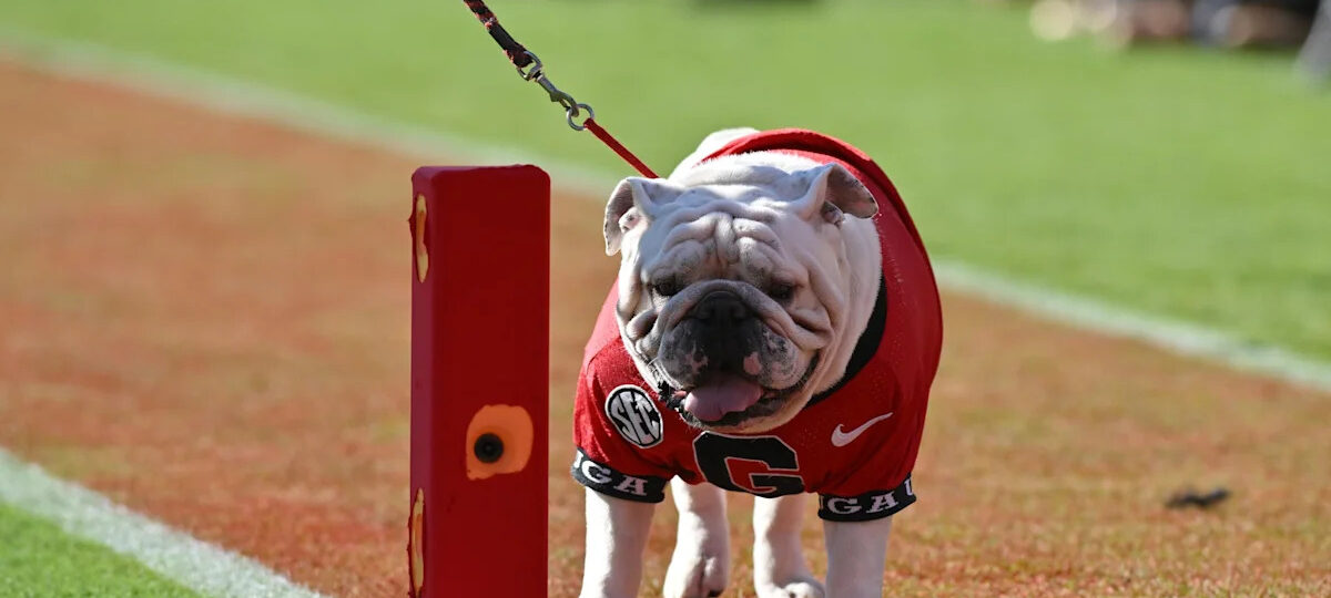 Tuesday ‘Dawg Bites Knows Effort Counts Twice