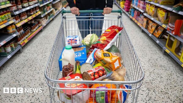 Can you eat ultra-processed foods and still be healthy? A dietitian analysed my weekly shop