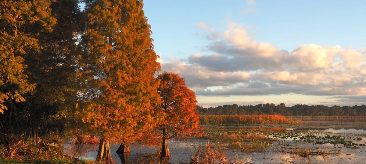 I’ve lived in Florida for 25 years. Here’s why I think fall is the best time to visit.