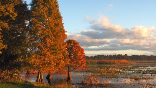I’ve lived in Florida for 25 years. Here’s why I think fall is the best time to visit.