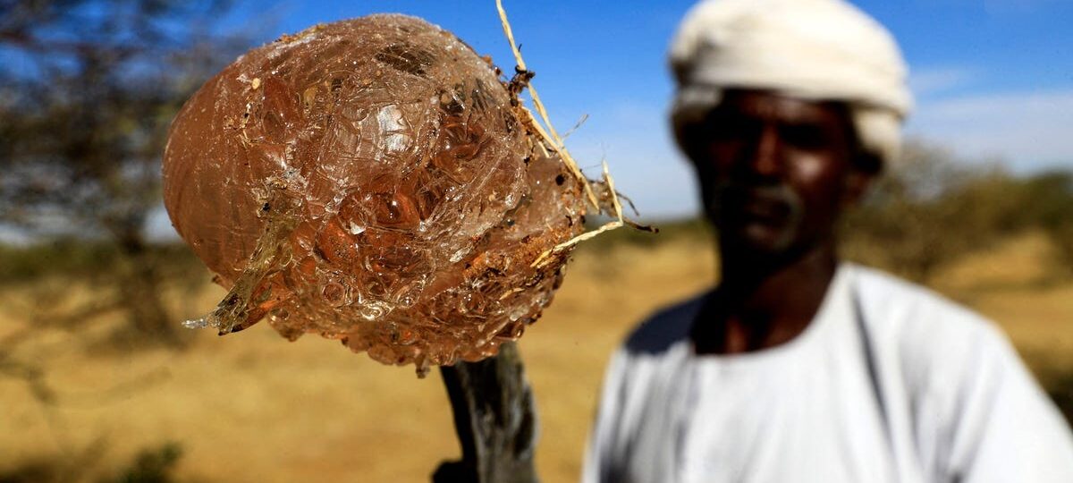 The smuggled resource in your candy and soda funding Sudan’s civil war