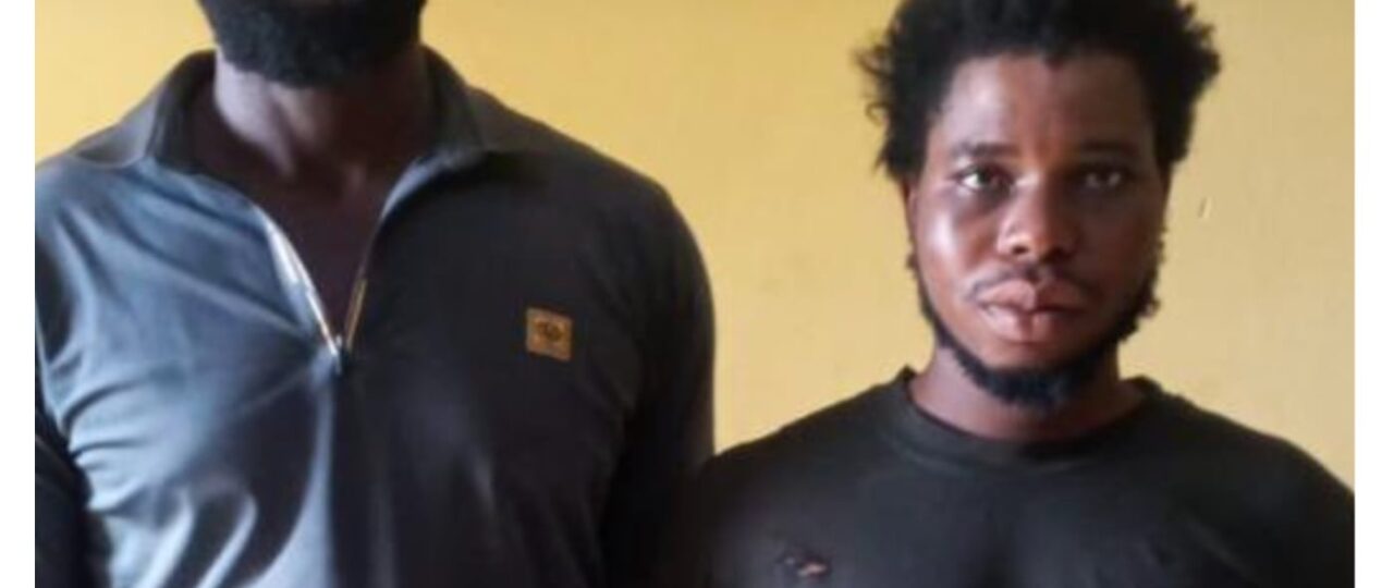 Troops rescue two kidnapped farm workers, neutralise suspect in Lagos