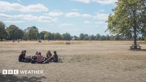 Temperatures could climb to 28C in late burst of warmth