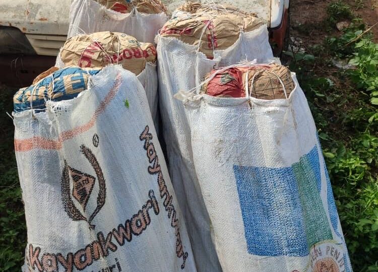 Osun Police arrest three suspected drug traffickers