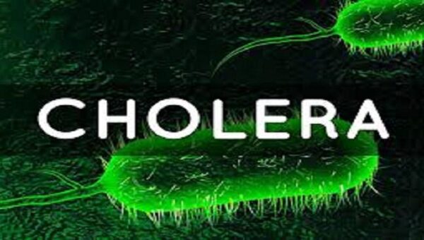 Cholera Crisis: Nigeria among seven worst-hit nations as global deaths surge