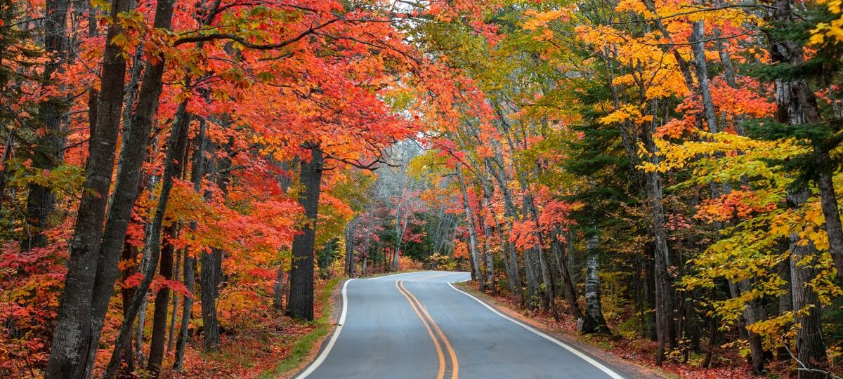 I’ve visited all 50 states solo, but there’s one region I keep coming back to in the fall