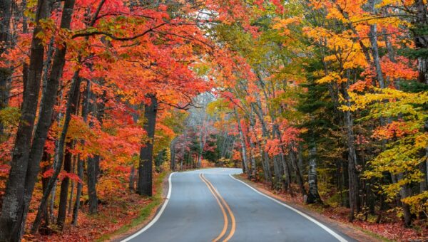 I’ve visited all 50 states solo, but there’s one region I keep coming back to in the fall