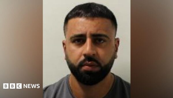 Sex offender bailed to flat overlooking playground