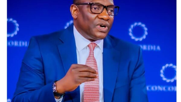 Africa must not repeat crude oil mistake with Lithium – Wunti warns
