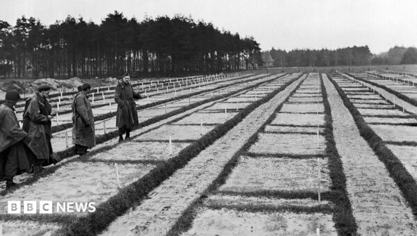 German prosecutors investigate 105-year-old for crimes at Nazi PoW camp