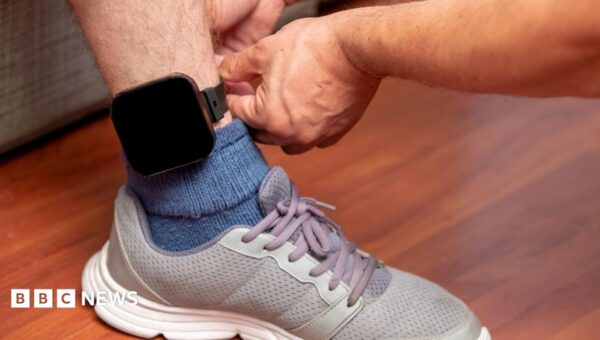Delays in fitting electronic tags putting victims at risk, report finds