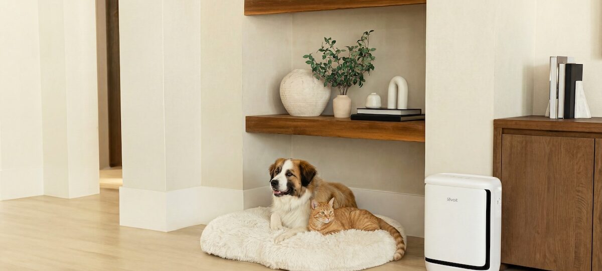 Levoit’s new air purifier is for the pet odors that have taken over your apartment