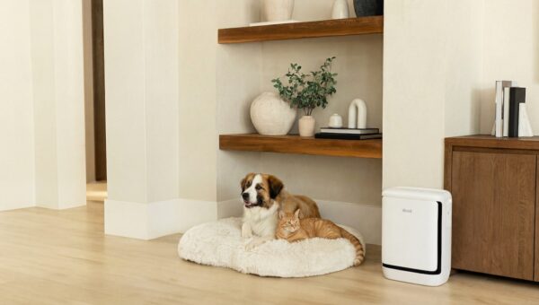 Levoit’s new air purifier is for the pet odors that have taken over your apartment