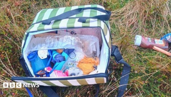 Anger as human poo and 'maggot-infested' food left behind at beauty spot