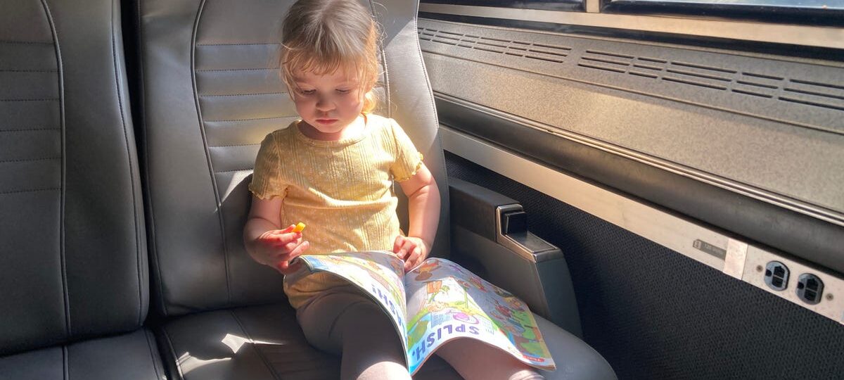 We've flown and taken long road trips with my toddler. A 9-hour Amtrak ride tested our parenting skills.