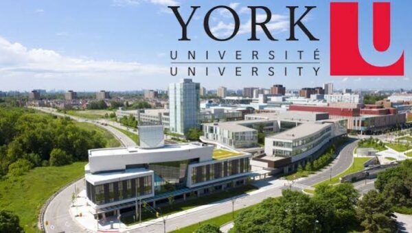 York University Presidential Scholarship in Canada 2027 | How To Apply
