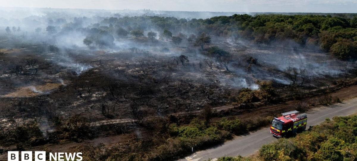 Lives 'will be lost' unless UK does more to combat wildfires, committee chairwoman says