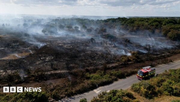 Lives ‘will be lost’ unless UK does more to combat wildfires, committee chairwoman says