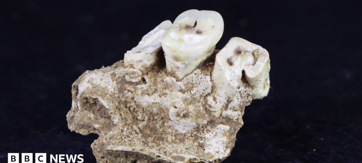Drug use may have begun 25,000 years ago in Indonesia, research finds