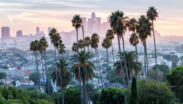 See where aspiring entrepreneurs are showing the most interest in starting a business, ranked