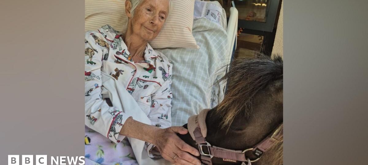 Horse lover's final wish fulfilled with pony visit