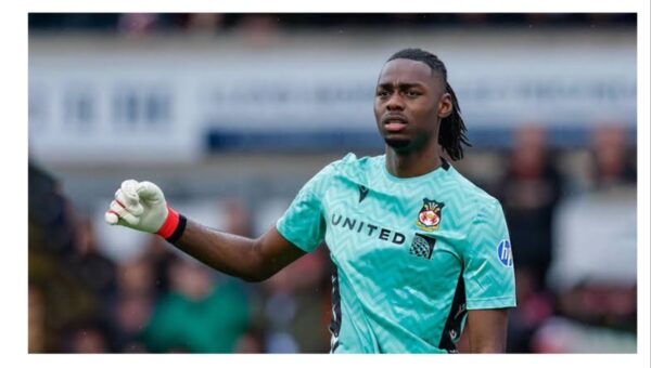 Ballon d’Or 2026: Nigeria’s George Ilenikhena, Arthur Okonkwo pick winners