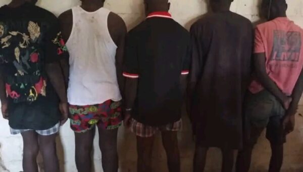 Police arrests ‘Shilla boys’ terrorizing Yola community, recovers cutlasses