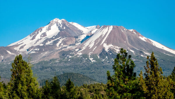 Hikers rescued after using Google Gemini for planning