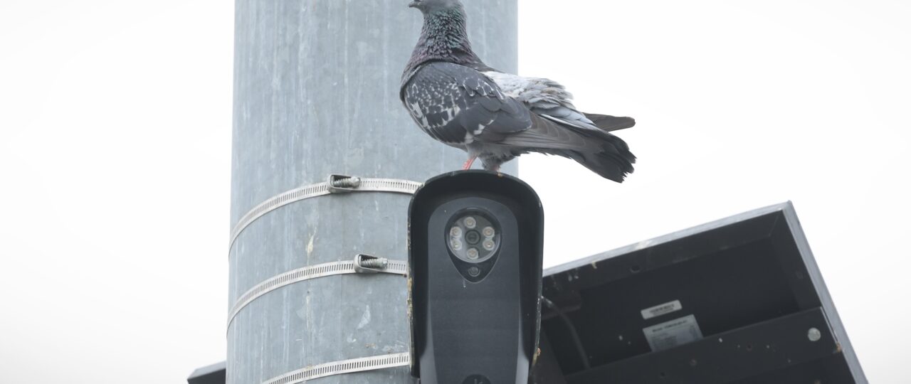 Florida and Texas move to block Flock cameras over privacy concerns