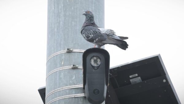 Florida and Texas move to block Flock cameras over privacy concerns